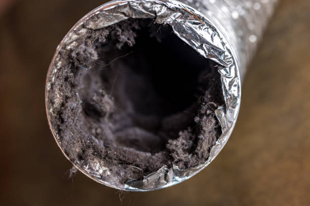 Best Ventilation Cleaning Services  in Salisbury, NY